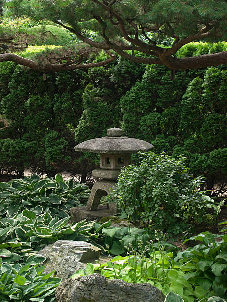 istock Japanese Garden Landscape 519048405