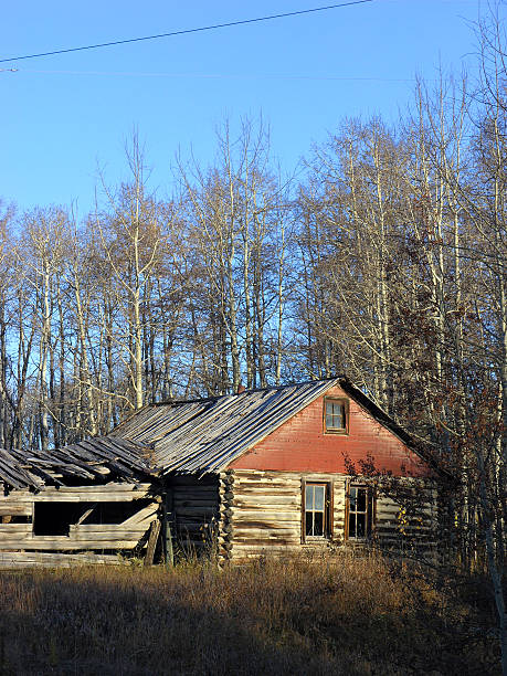 vazio casa - forest hut window autumn - fotografias e filmes do acervo