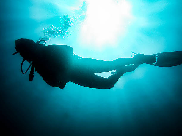 istock Woman Scuba Diving Under Sunburst 519050211