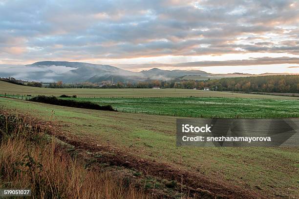 Walk In Nature Stock Photo - Download Image Now - Autumn, Beauty, Beauty In Nature