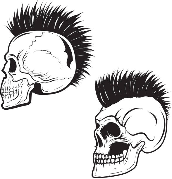 ilustrações, clipart, desenhos animados e ícones de conjunto de caveira com estilo mohawk penteado isolado no fundo branco - punk hair
