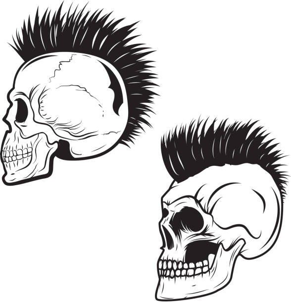 Set of skull with mohawk hairstyle isolated on white background Set of skull with mohawk hairstyle isolated on white background. Skulls with hair. Vector design element. mohawk stock illustrations