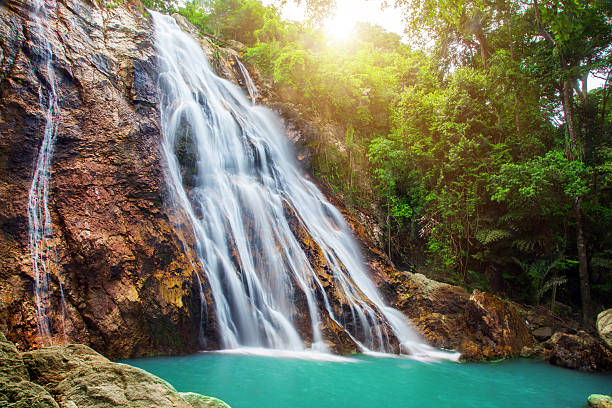 Na Muang 1 waterfall, Koh Samui, Thailand Na Muang 1 waterfall, Koh Samui, Thailand ko samui stock pictures, royalty-free photos & images