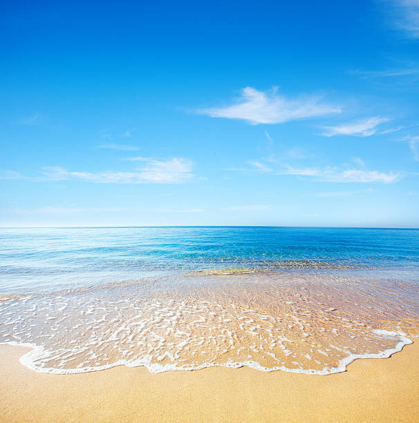 istock beach and tropical sea 519052258
