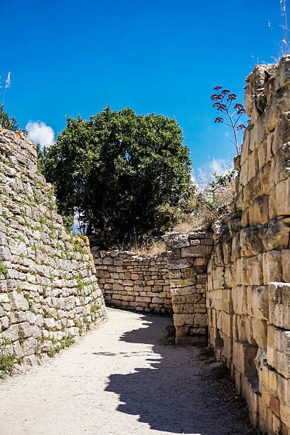 istock Walls of Troy 519052653