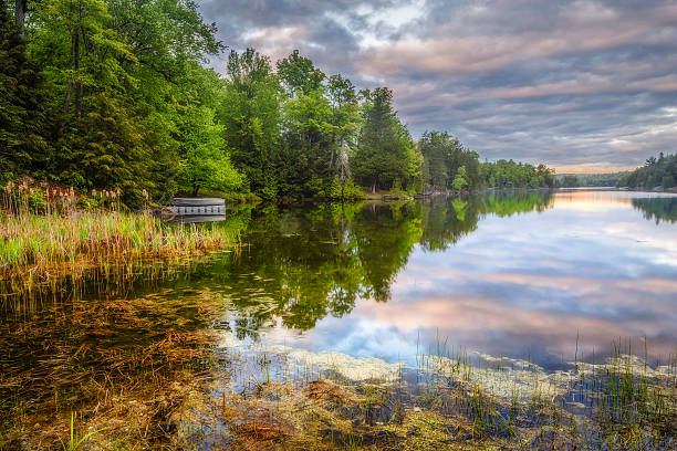 istock Canada Nature Scene, Lakeside, Forest, Sky and Clouds 519054475