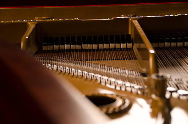 istock Grand Piano Dampers 519075827