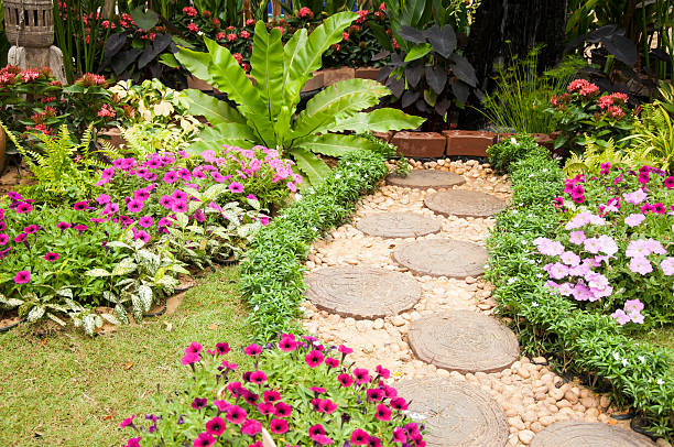 istock Stone Paved Garden Path with a Lawn and Flowerbed 519077935