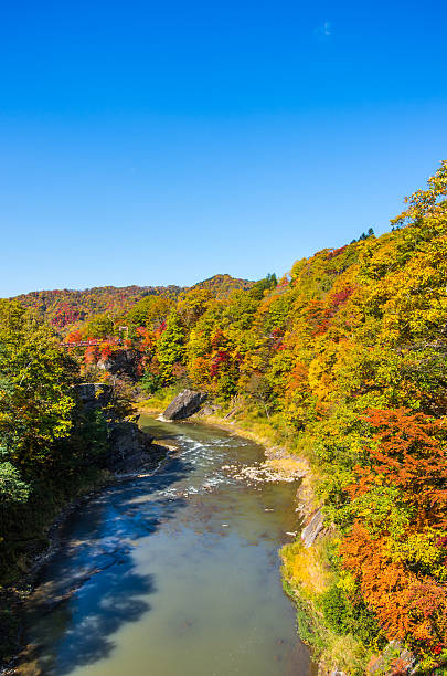 istock Autumn in Yubari Takie Park 519078037