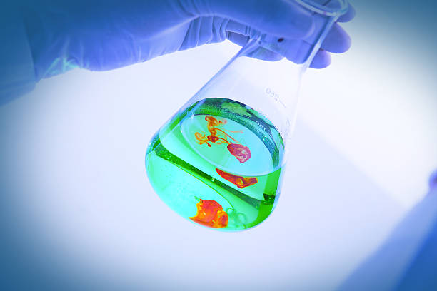 istock Laboratory research, dropping liquid to test tube 519078332