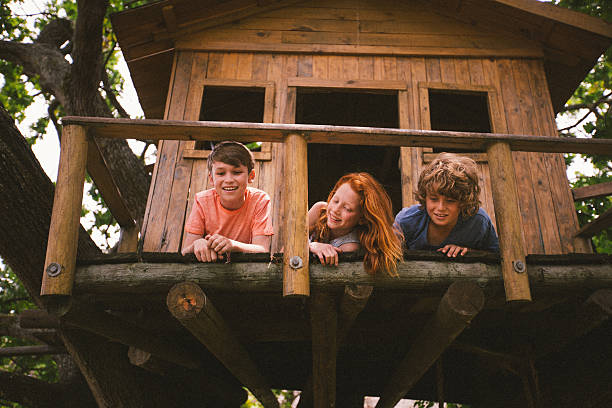 drei jungen freunde spielen in einem baumhaus im sommer - baumhaus stock-fotos und bilder