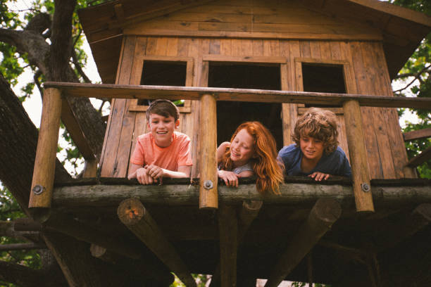 istock Three young friends playing in a treehouse in summer 519078450