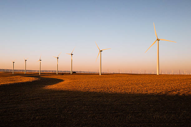 istock Turbines producing wind power in a beautiful golden sunset 519078471