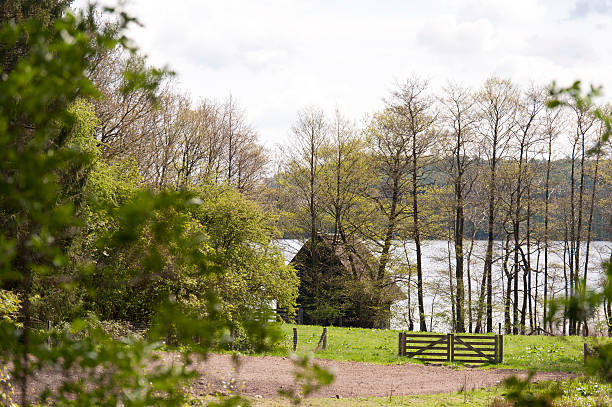 istock At the Schierensee in Germany 519078594