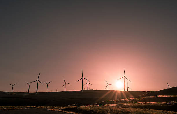 istock Wind power producing clean sustainable energy in a beautiful sun 519078683
