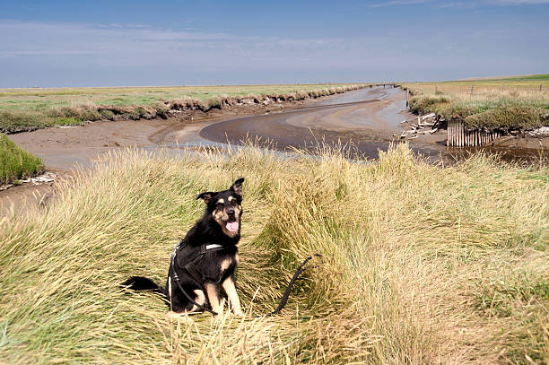 A small village behind the dyke along the Wadden Sea coast in the north of The Netherlands. A seamlessly stitched panoramic image.