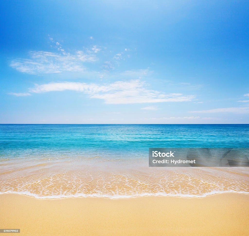 Mar playa y tropical - Foto de stock de Playa libre de derechos