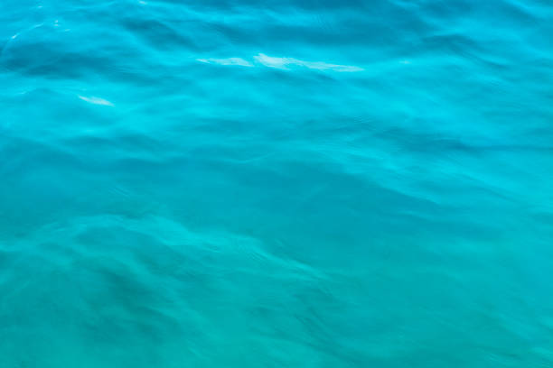 istock Tropical Water Ripples & Waves - Nature Background Turquoise Blue 519080139