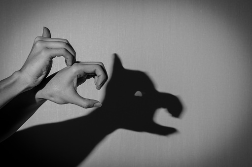 hands showing shadow a dog