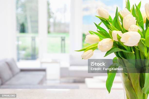 White Tulips In Vase Stock Photo - Download Image Now - Flower, White Color, Home Interior