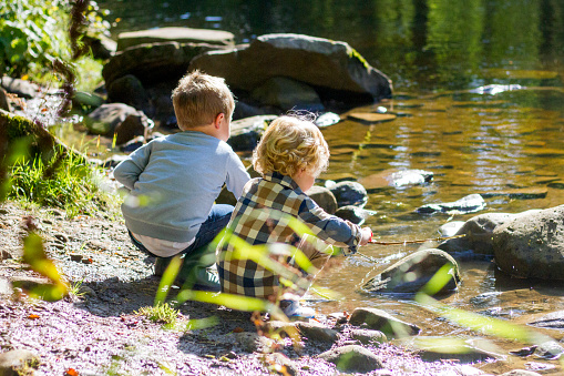 Two little boys are sat by the lake. They are playing in the water with rocks and sticks.