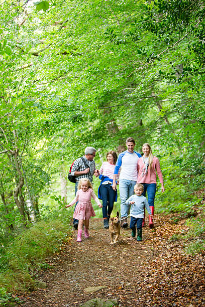 tag mit der familie - family summer portrait nature stock-fotos und bilder