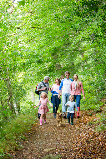 A family are out for a walk in a woodland area. The little boy is walking in front with his dog, while his sister runs next to him.