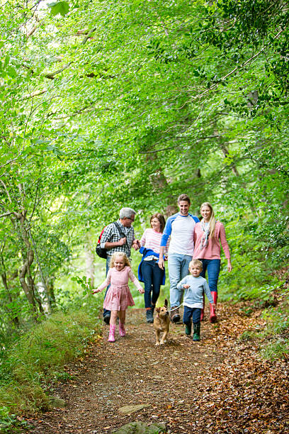 dzień rodziny, - family summer portrait nature zdjęcia i obrazy z banku zdjęć
