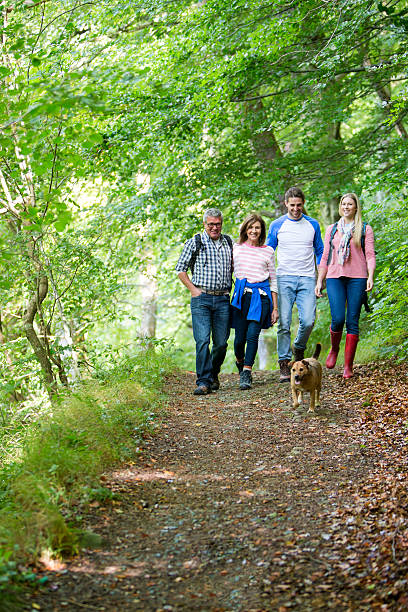 семья, для ходьбы - grass area hill nature hiking стоковые фото и изображения