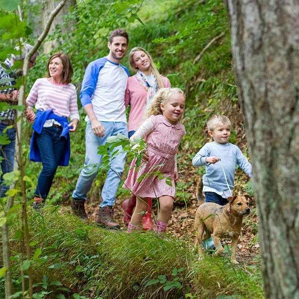 부품군 주시나요 보세요 - hiking family looking at camera daughter 뉴스 사진 이미지