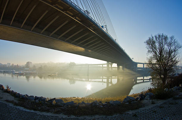 istock Misty sunrise on a river bank under cable bridge 519089691