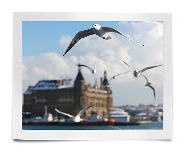 istock Haydarpasa Terminal Photo (Clipping Path) 519089866