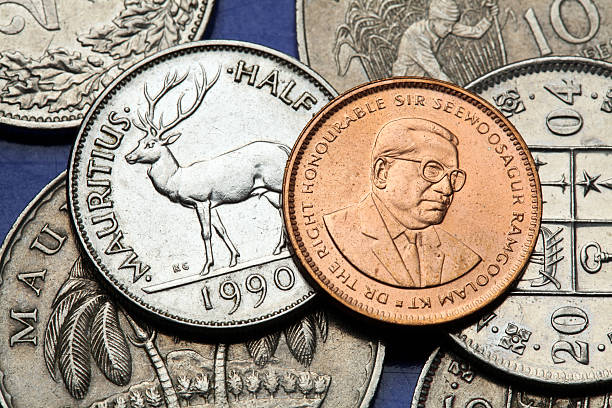 istock Coins of Mauritius 519089893