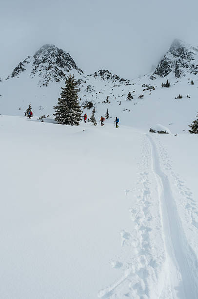istock Winter Landscape with Snow and Trees 519094657