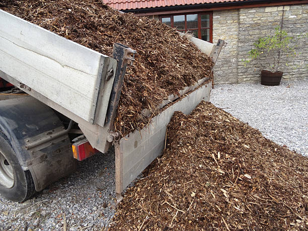 istock Bark mulch wood chips on van, unloaded / garden landscaping project 519094779