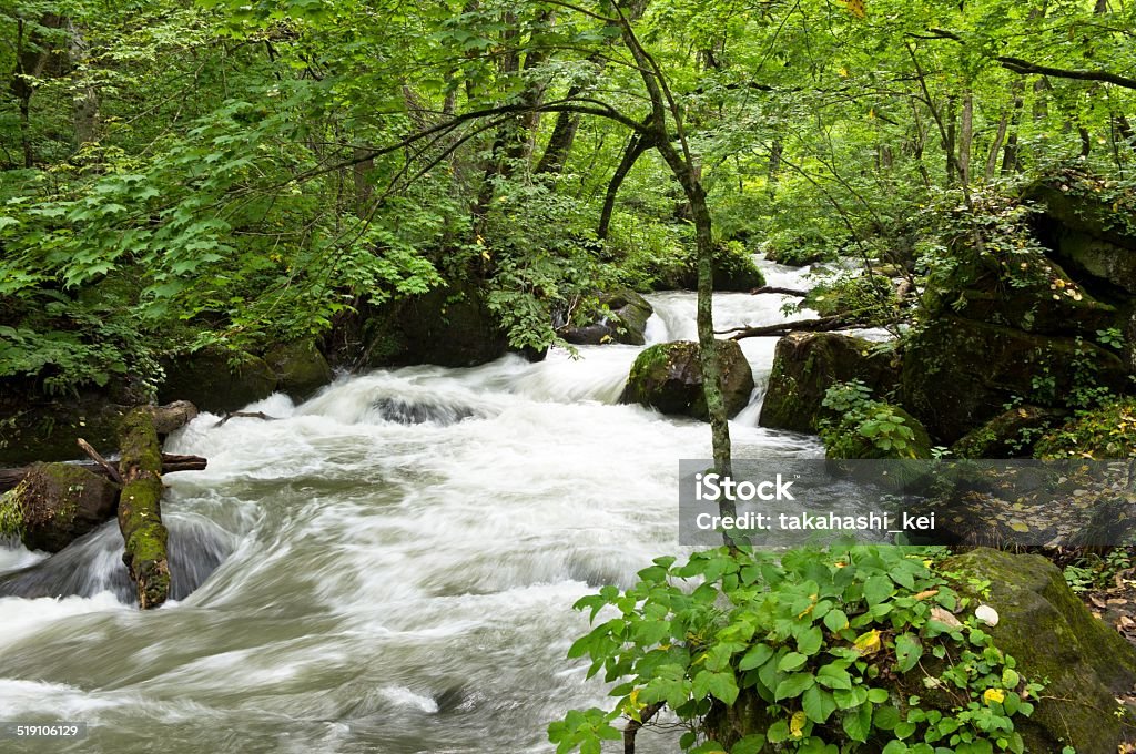 mountain stream Beauty In Nature Stock Photo