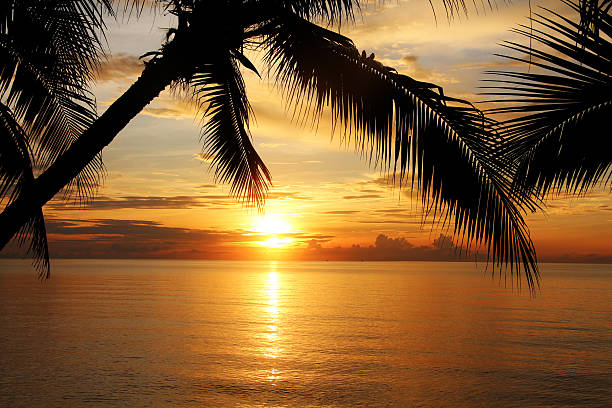 istock sunset at a tropical beach in the thailand 519109407