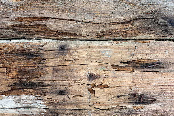 istock Old wooden plank board vintage background 519111323
