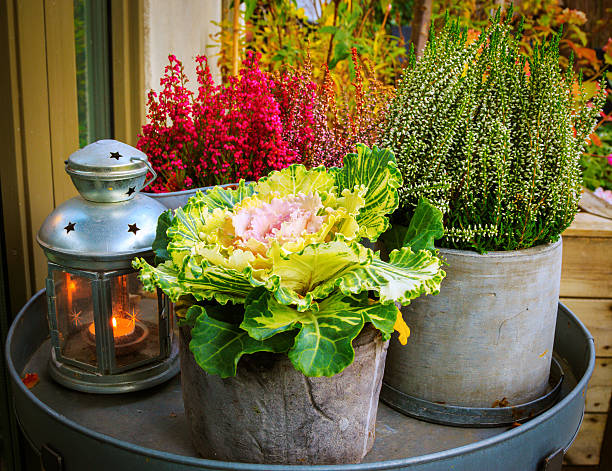 Autumn themed flowers and candle lamp