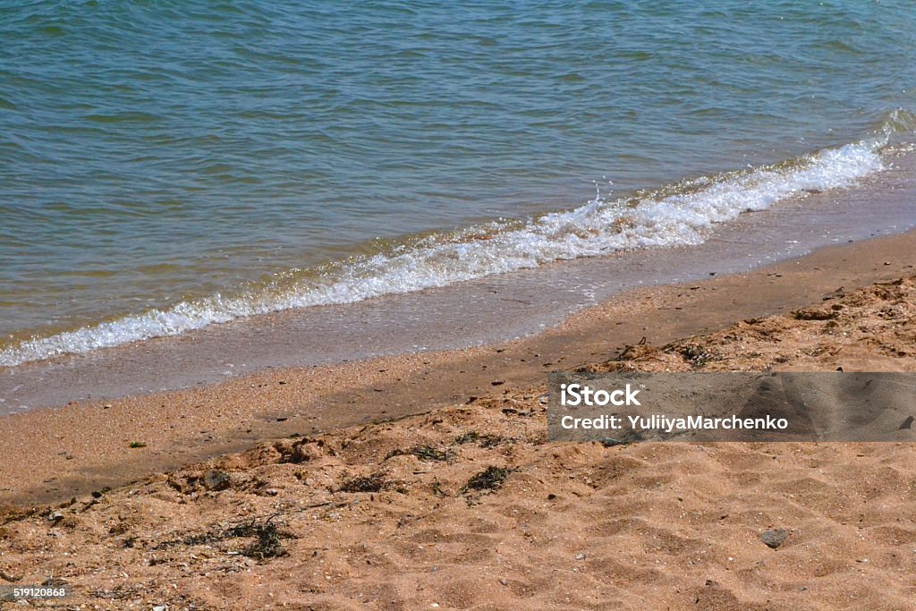 sea gritty beach with waves and shells and seaweed Algae Stock Photo
