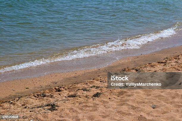 Sea Stock Photo - Download Image Now - Algae, Beach, Breaking Wave