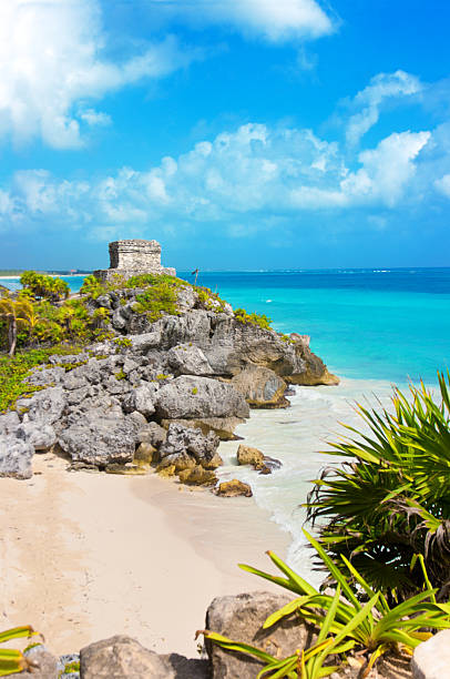 rovine maya di tulum e spiaggia - mexico the americas ancient past foto e immagini stock