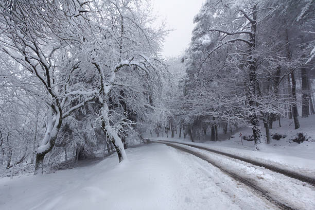 istock Feelings of Snow V - path to white 519123568