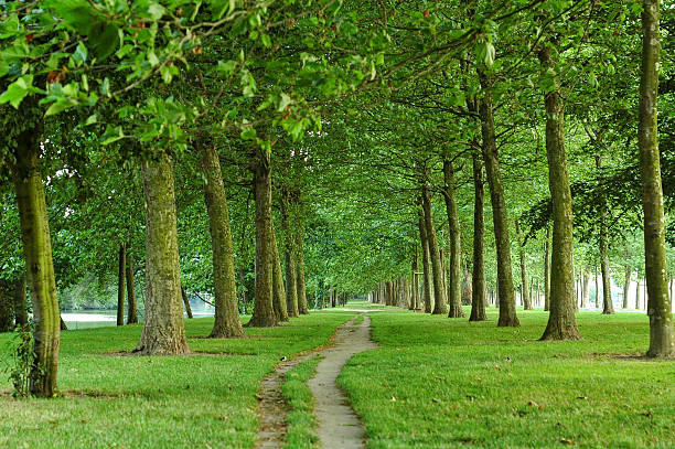istock Path in a park of Caen 519124276