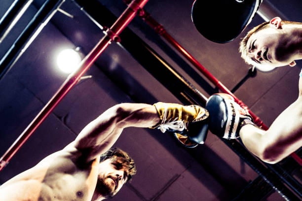 istock Seasoned Boxers Fighting Seen From Below 519124528