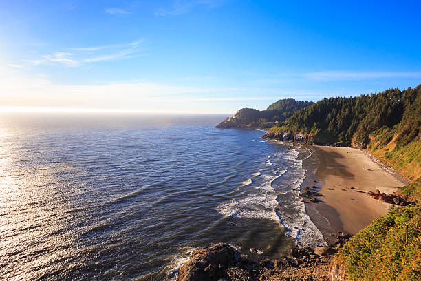 istock Heceta Head Lighthouse and Coastline 519124848