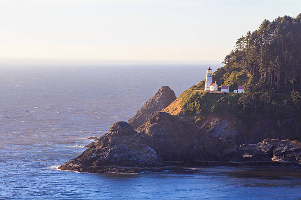 istock Heceta Head Lighthouse and Coastline 519124864
