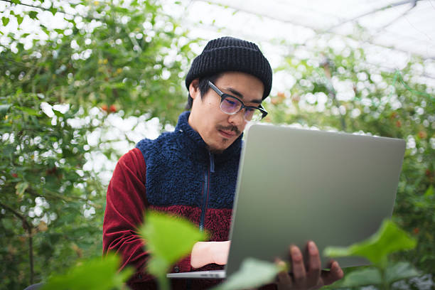 pesquisador de usar um computador portátil em uma estufa - agriculture greenhouse research science - fotografias e filmes do acervo