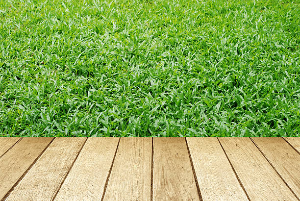 istock Wood over green grasses background 519127929