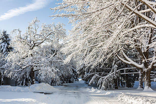 istock Rural Country Lane After Blizzard Snow Storm 519128327